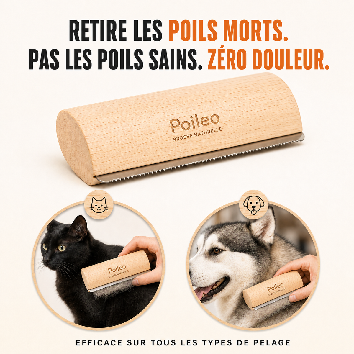 Brosse Poileo Chien