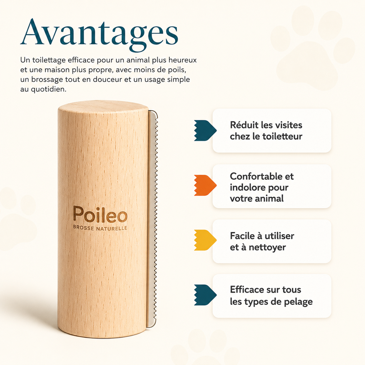Brosse Poileo Chien