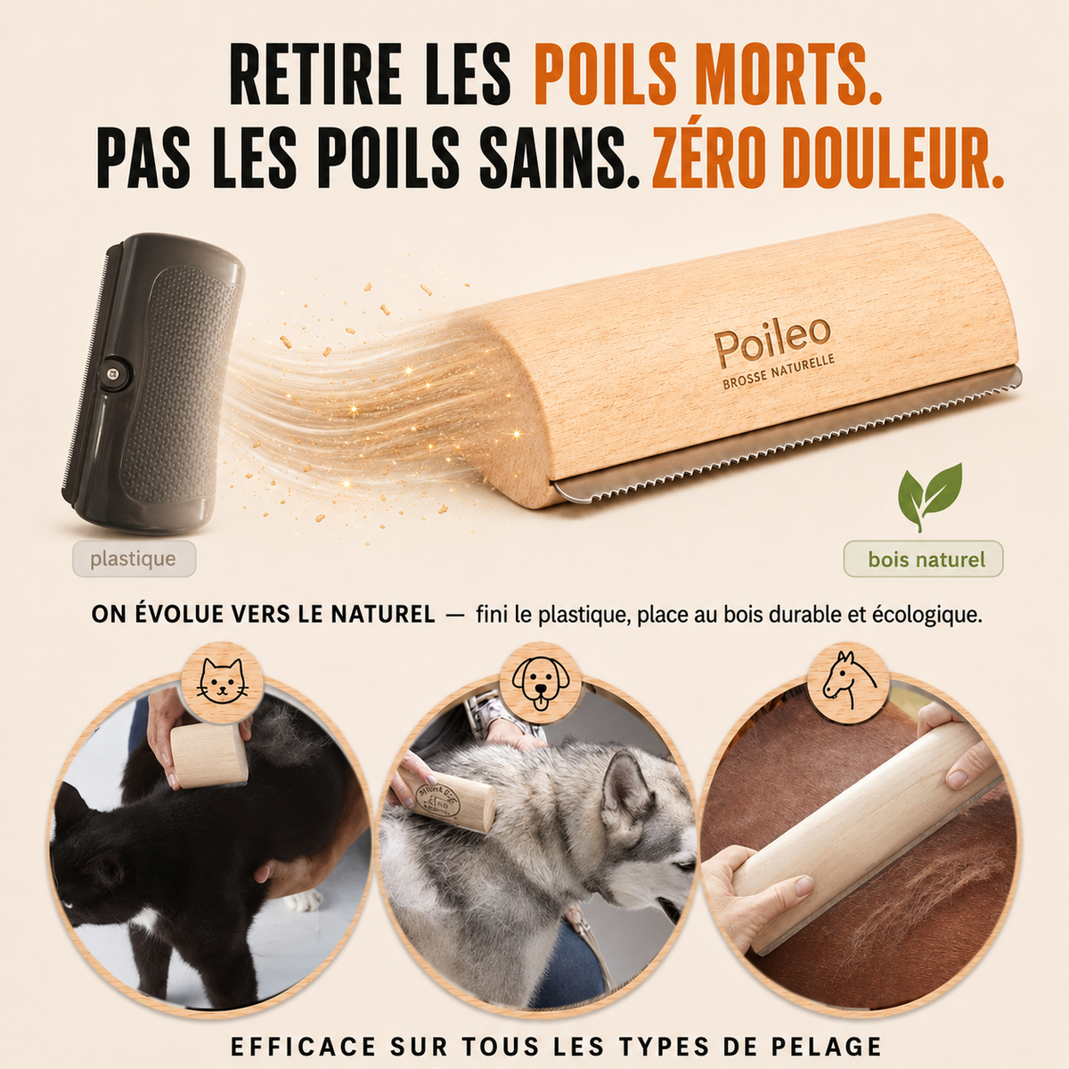 Brosse Poileo Chat