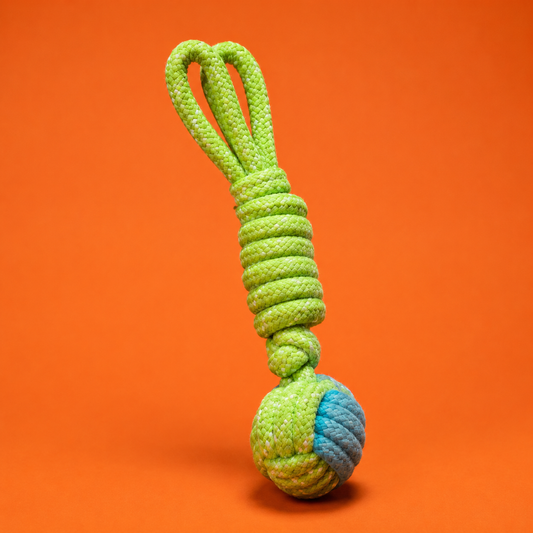 Corde Nouée Poileo™ – Jouet à tirer & mâcher pour chien