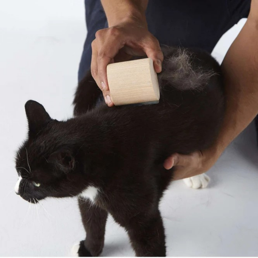 Brosse Poileo Chat