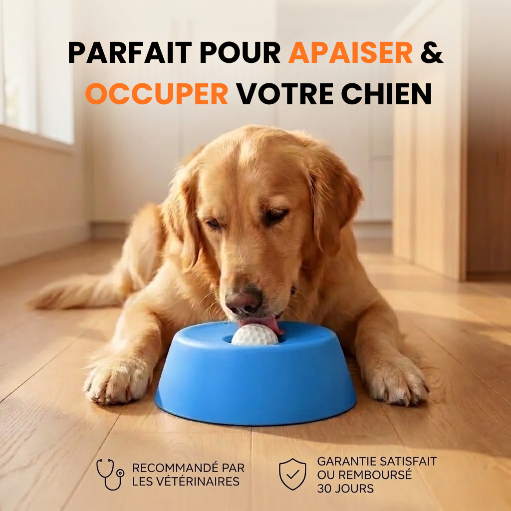 Bol Anti-Stress Poileo™ – Léchage apaisant