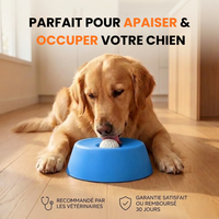 Bol Anti-Stress Poileo™ – Léchage apaisant