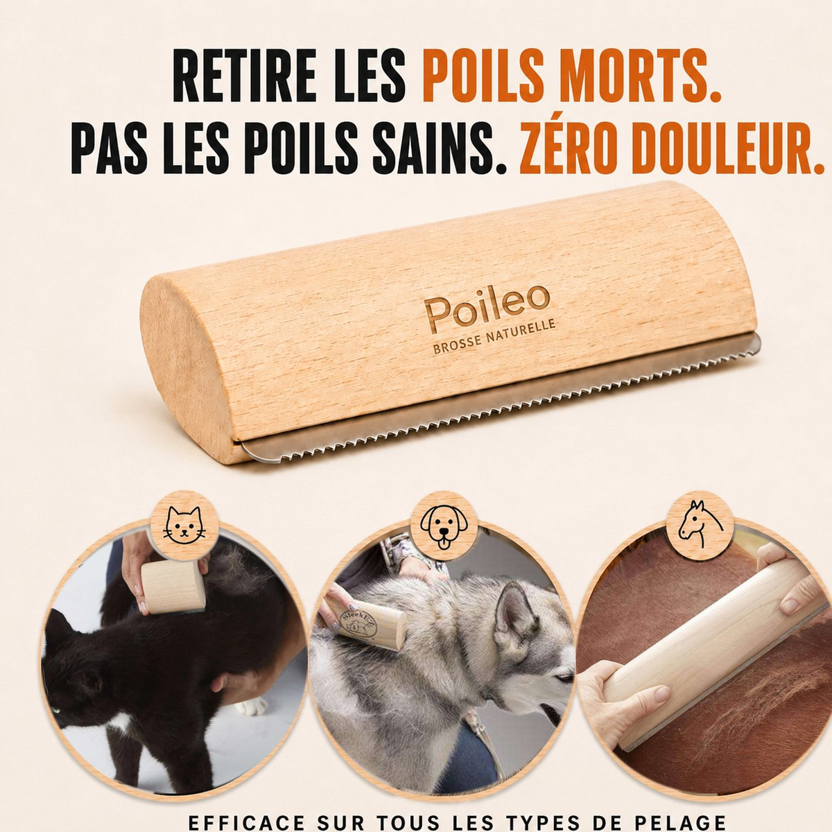 Brosse Poileo Cheval